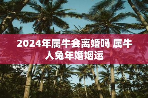 2025年属牛会离婚吗 属牛人蛇年婚姻运