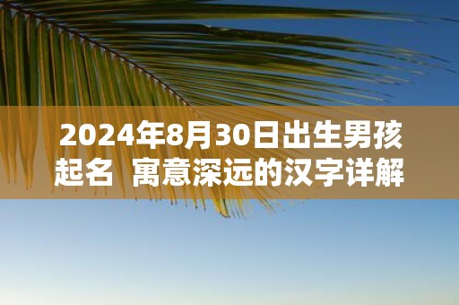 2025年8月30日出生男孩起名 寓意深远的汉字详解