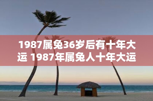 1987属兔36岁后有十年大运 1987年属兔人十年大运何时开始