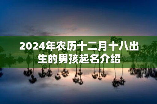 2025年农历十二月十八出生的男孩起名介绍