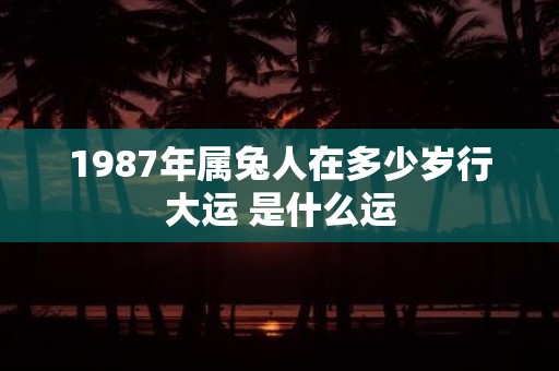 1987年属兔人在多少岁行大运 是什么运