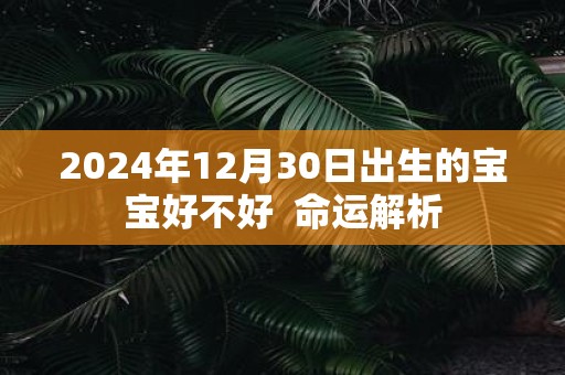 2025年12月30日出生的宝宝好不好 命运解析