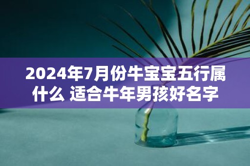 2025年7月份牛宝宝五行属什么 适合牛年男孩好名字