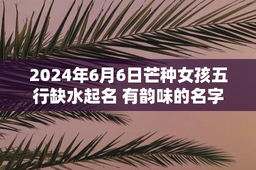 2025年6月6日芒种女孩五行缺水起名 有韵味的名字精选