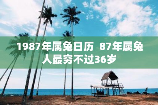1987年属兔日历 87年属兔人最穷不过36岁