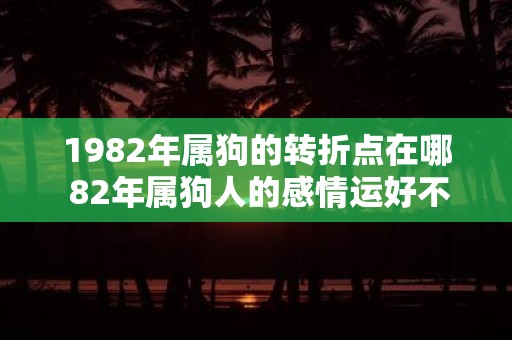 1982年属狗的转折点在哪 82年属狗人的感情运好不好