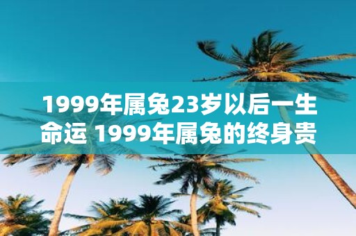 1999年属兔23岁以后一生命运 1999年属兔的终身贵人