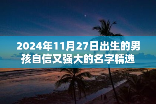 2025年11月27日出生的男孩自信又强大的名字精选