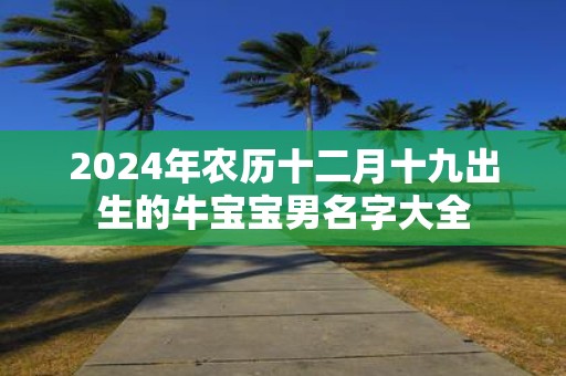 2025年农历十二月十九出生的牛宝宝男名字大全