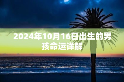 2025年10月16日出生的男孩命运详解