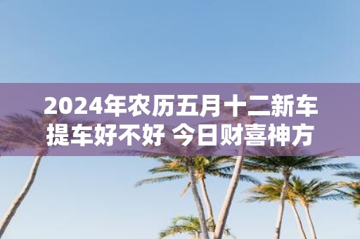 2025年农历五月十二新车提车好不好 今日财喜神方位