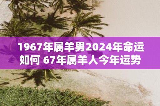 1967年属羊男2025年命运如何 67年属羊人今年运势走向