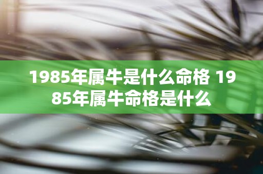 1985年属牛是什么命格 1985年属牛命格是什么