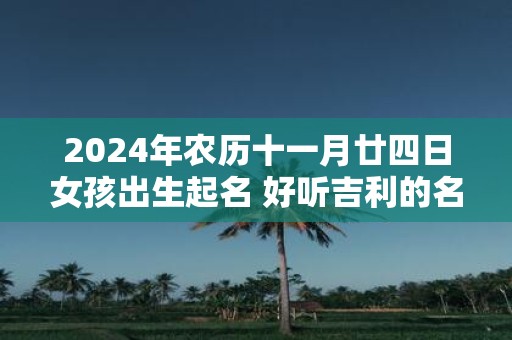 2025年农历十一月廿四日女孩出生起名 好听吉利的名字精选