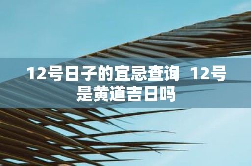 12号日子的宜忌查询 12号是黄道吉日吗