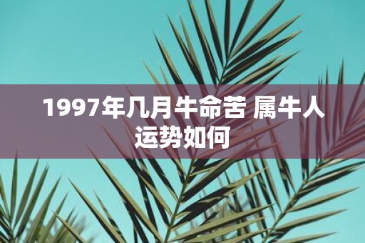 1997年几月牛命苦 属牛人运势如何