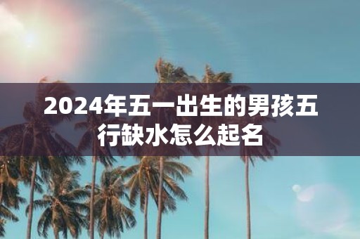 2025年五一出生的男孩五行缺水怎么起名