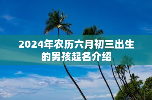 2025年农历六月初三出生的男孩起名介绍