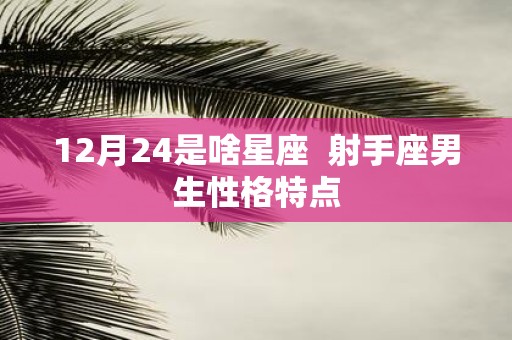 12月24是啥星座 射手座男生性格特点