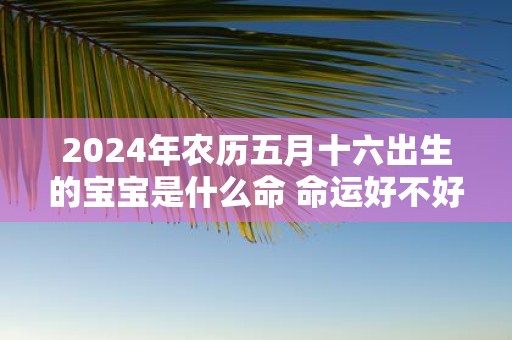 2025年农历五月十六出生的宝宝是什么命 命运好不好