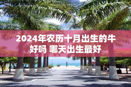 2025年农历十月出生的牛好吗 哪天出生最好