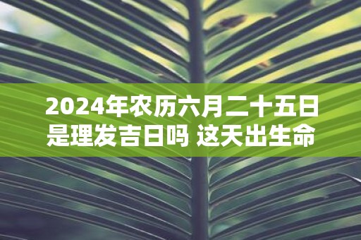 2025年农历六月二十五日是理发吉日吗 这天出生命好吗