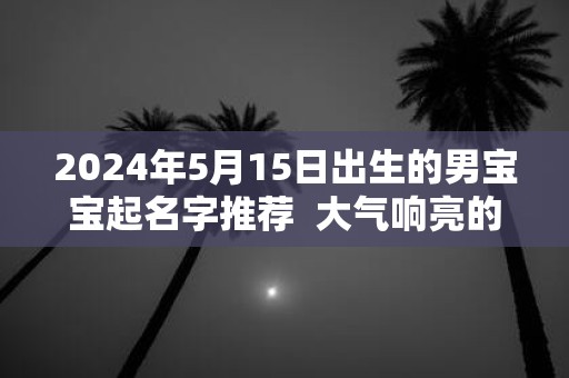 2025年5月15日出生的男宝宝起名字推荐 大气响亮的