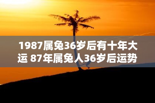 1987属兔36岁后有十年大运 87年属兔人36岁后运势走向