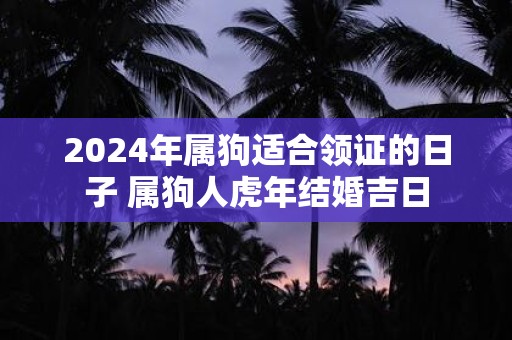 2025年属狗适合领证的日子 属狗人虎年结婚吉日