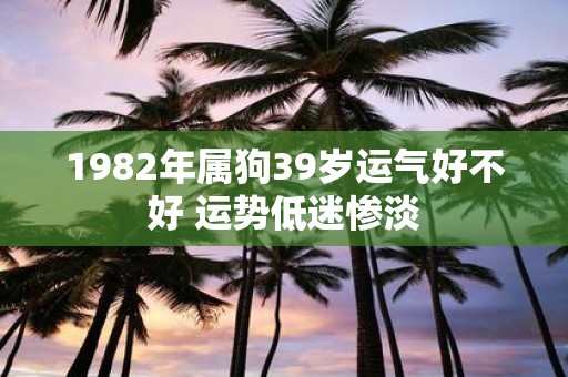 1982年属狗39岁运气好不好 运势低迷惨淡