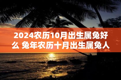 2025农历10月出生属兔好么 蛇年农历十月出生属兔人命运
