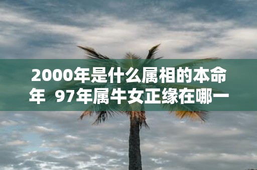 2000年是什么属相的本命年 97年属牛女正缘在哪一年