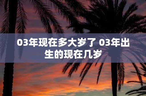 03年现在多大岁了 03年出生的现在几岁
