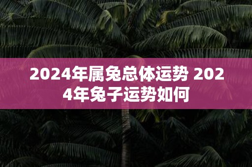 2025年属兔总体运势 2025年兔子运势如何