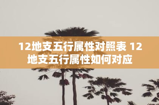 12地支五行属性对照表 12地支五行属性如何对应