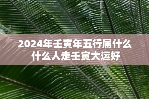 2025年壬寅年五行属什么 什么人走壬寅大运好