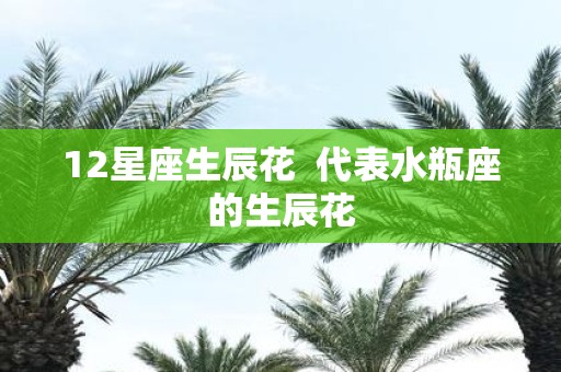 12星座生辰花 代表水瓶座的生辰花