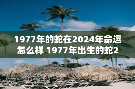 1977年的蛇在2025年命运怎么样 1977年出生的蛇2025年运势如何