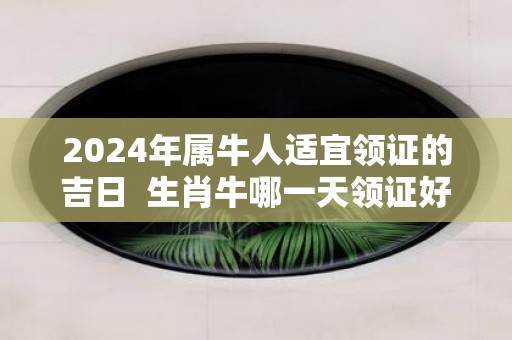 2025年属牛人适宜领证的吉日 生肖牛哪一天领证好