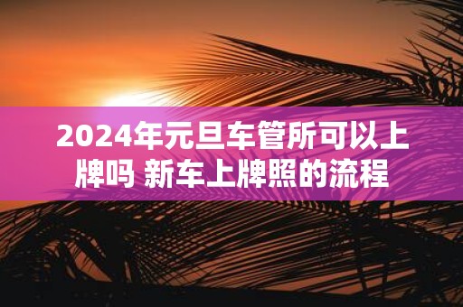 2025年元旦车管所可以上牌吗 新车上牌照的流程