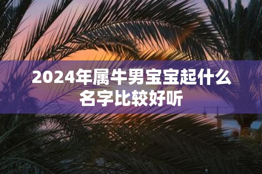 2025年属牛男宝宝起什么名字比较好听