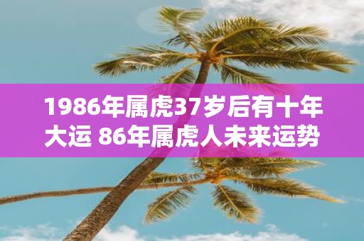 1986年属虎37岁后有十年大运 86年属虎人未来运势走向