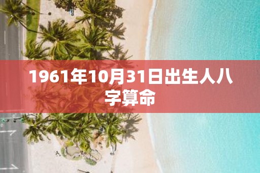 1961年10月31日出生人八字算命