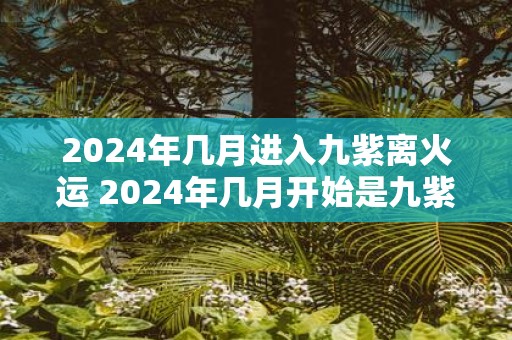 2025年几月进入九紫离火运 2025年几月开始是九紫离火运