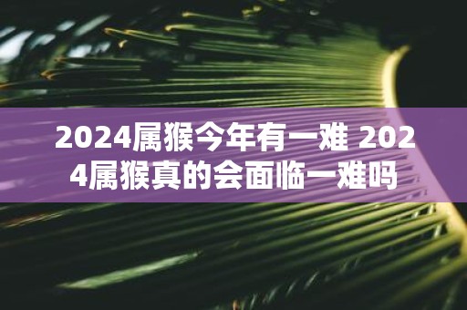 2025属猴今年有一难 2025属猴真的会面临一难吗