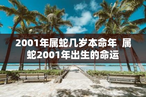 2001年属蛇几岁本命年 属蛇2001年出生的命运