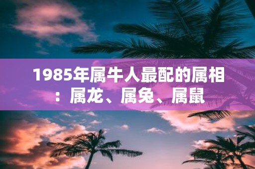 1985年属牛人最配的属相：属龙、属兔、属鼠