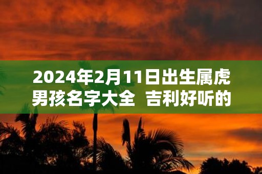 2025年2月11日出生属虎男孩名字大全 吉利好听的名字