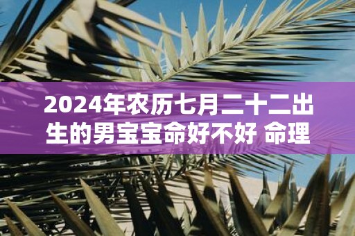 2025年农历七月二十二出生的男宝宝命好不好 命理详解