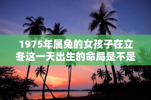 1975年属兔的女孩子在立冬这一天出生的命局是不是旺夫命